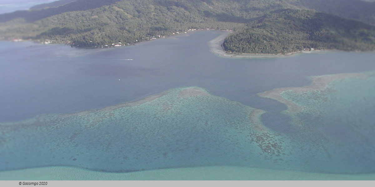 Tahaa