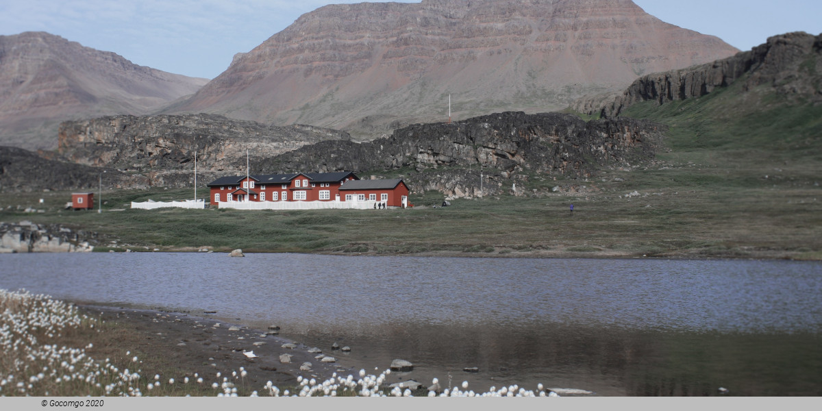 Qeqertarsuaq