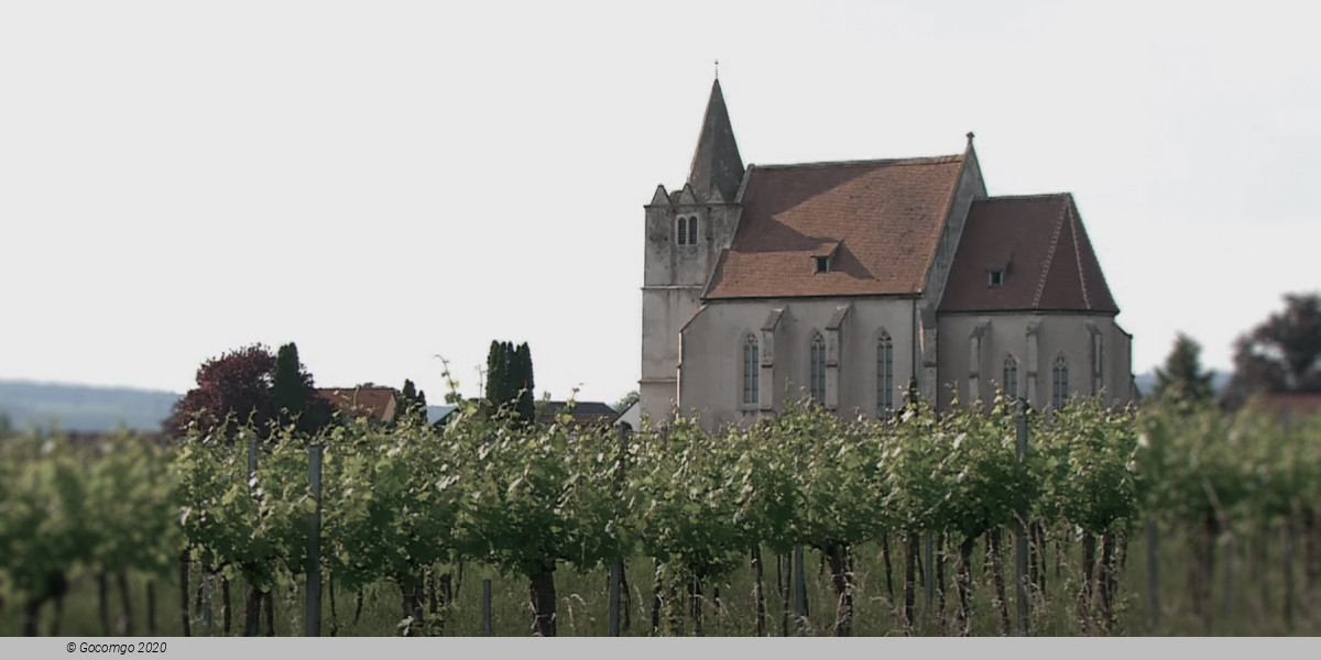 Grafenegg