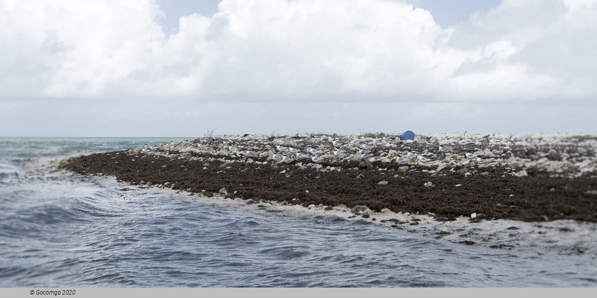 Kiritimati