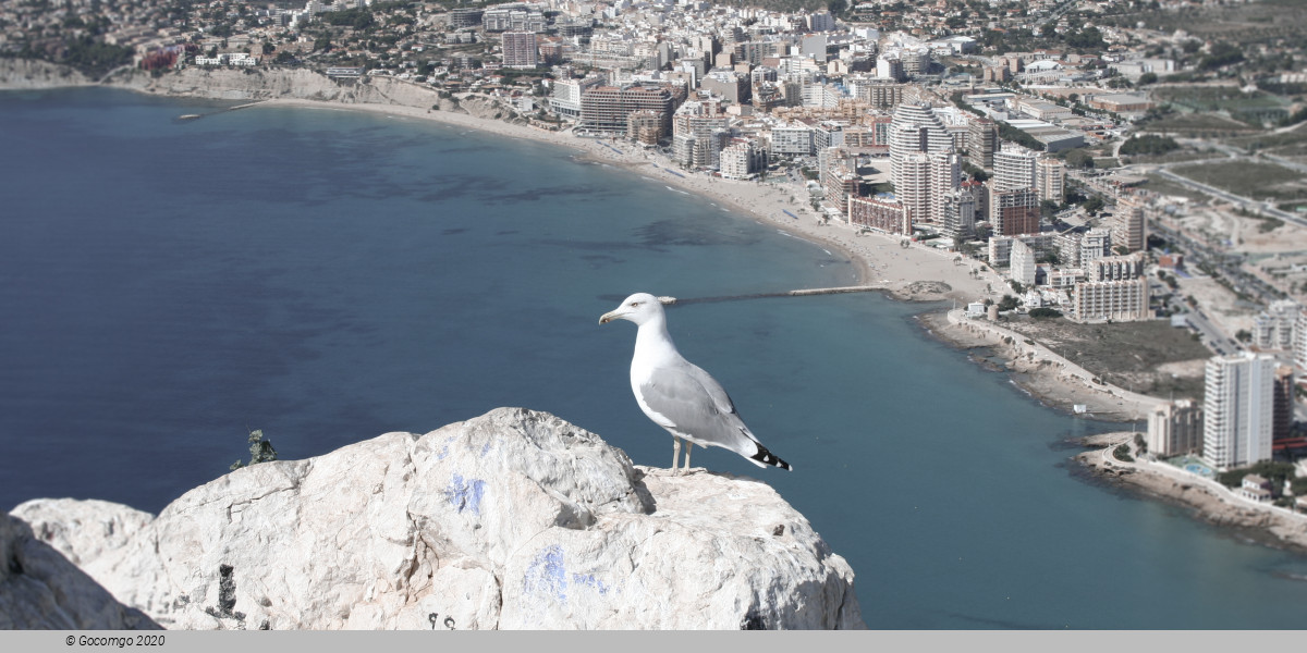 Calpe