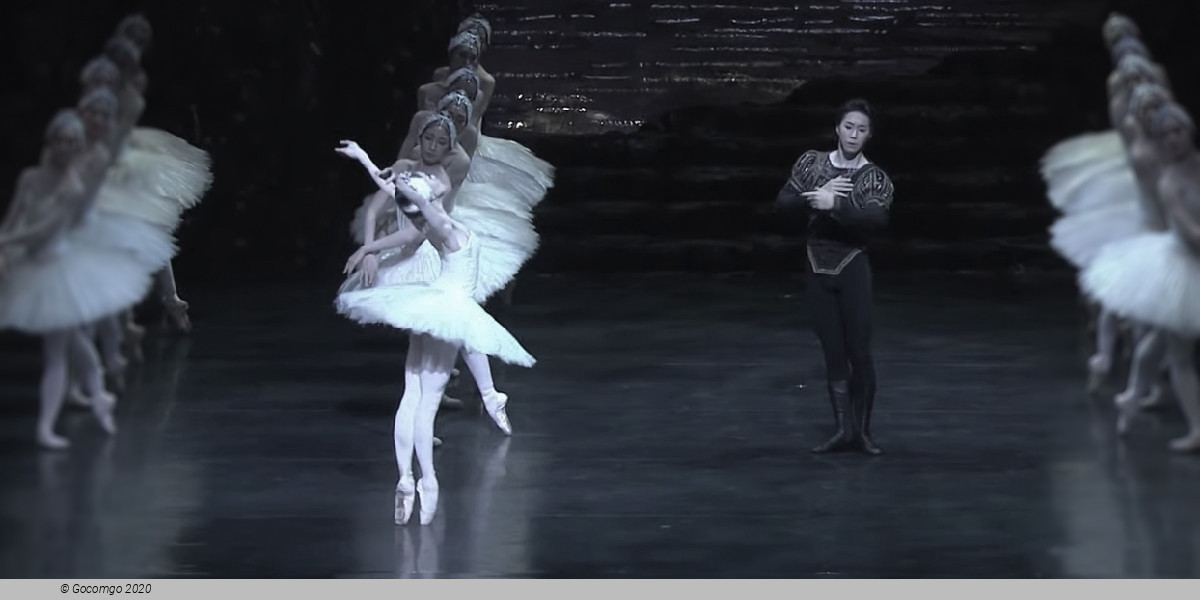 Ballet "Swan Lake" at the New National Theatre Tokyo
