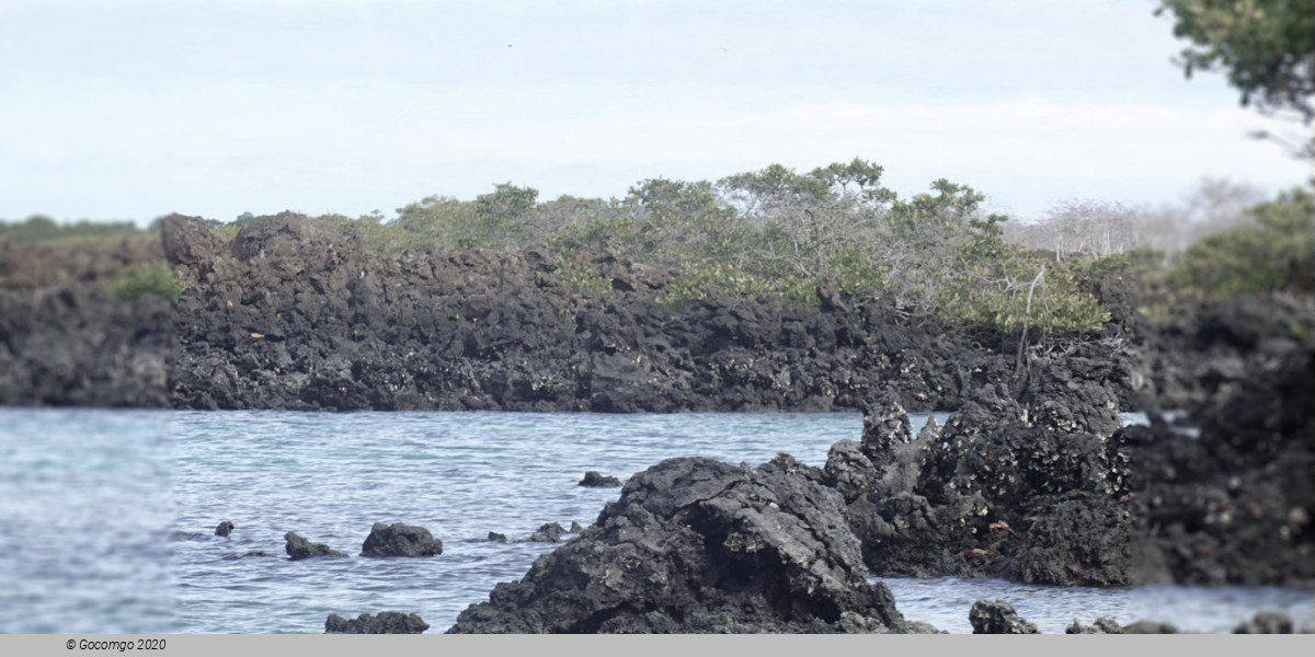 Isabela Island