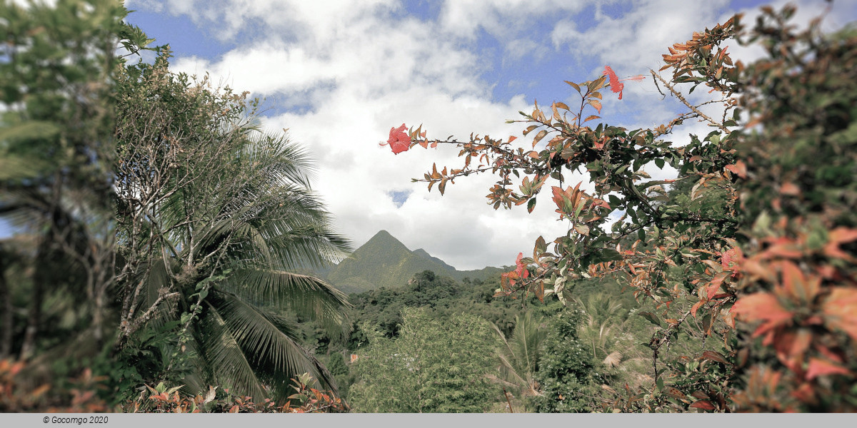 Martinique