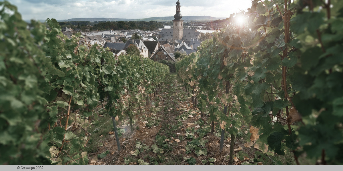 Rüdesheim am Rhein