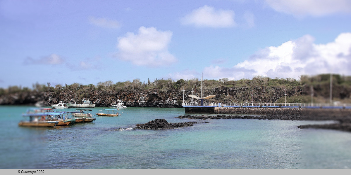 Santa Cruz Island