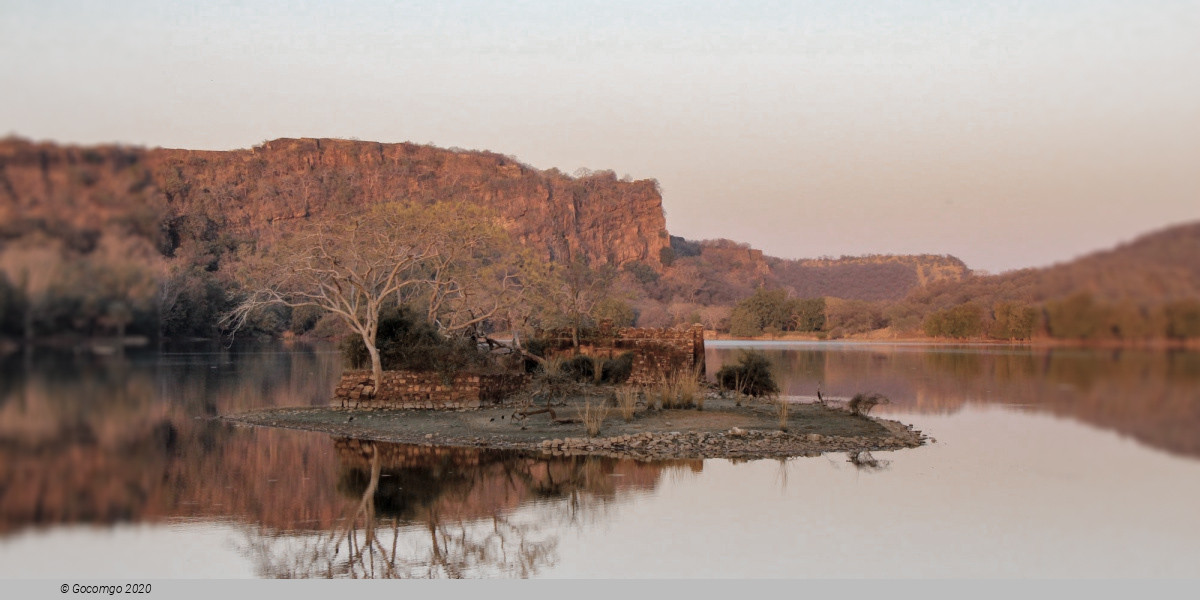 Ranthambore