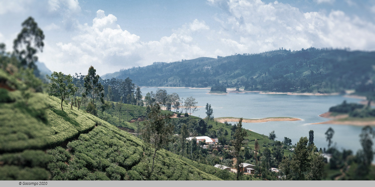 Nuwara Eliya
