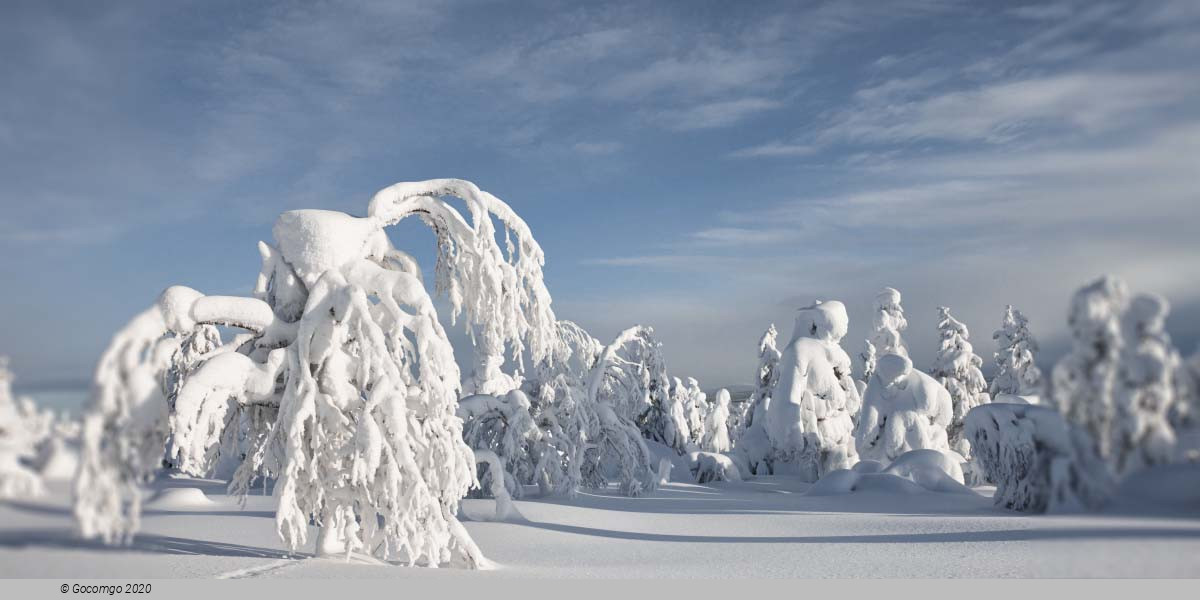 Luosto Lapland