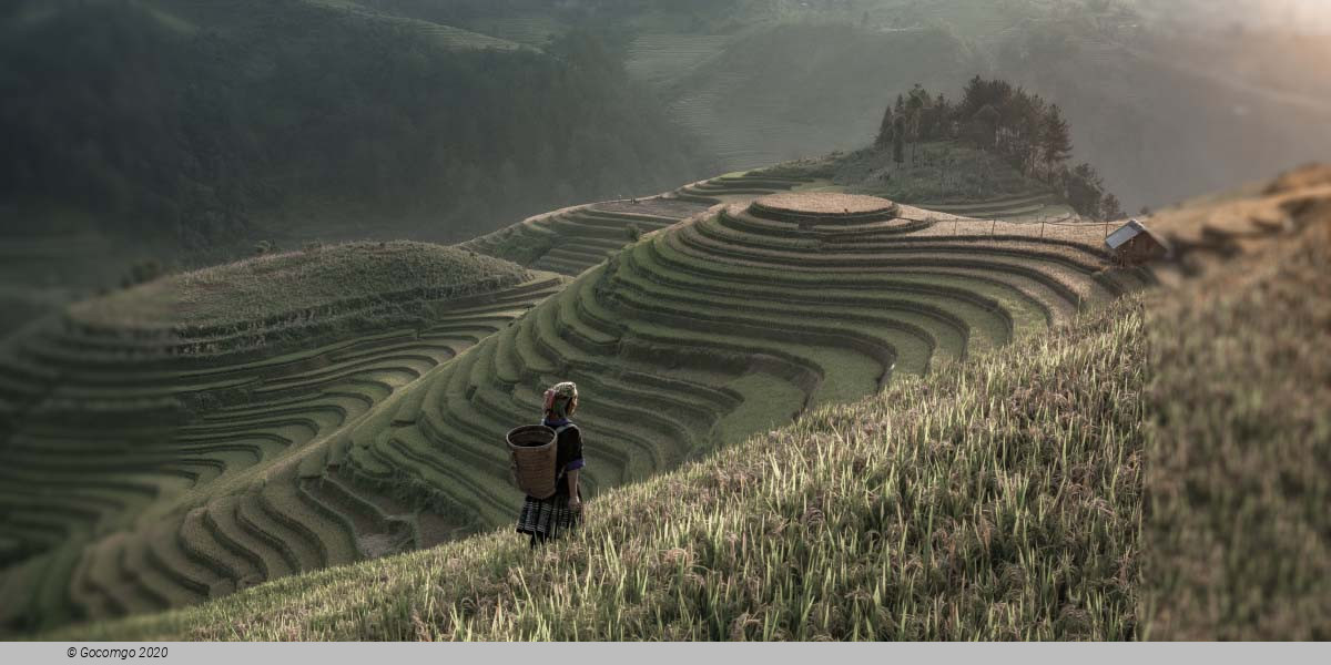 Sa Pa