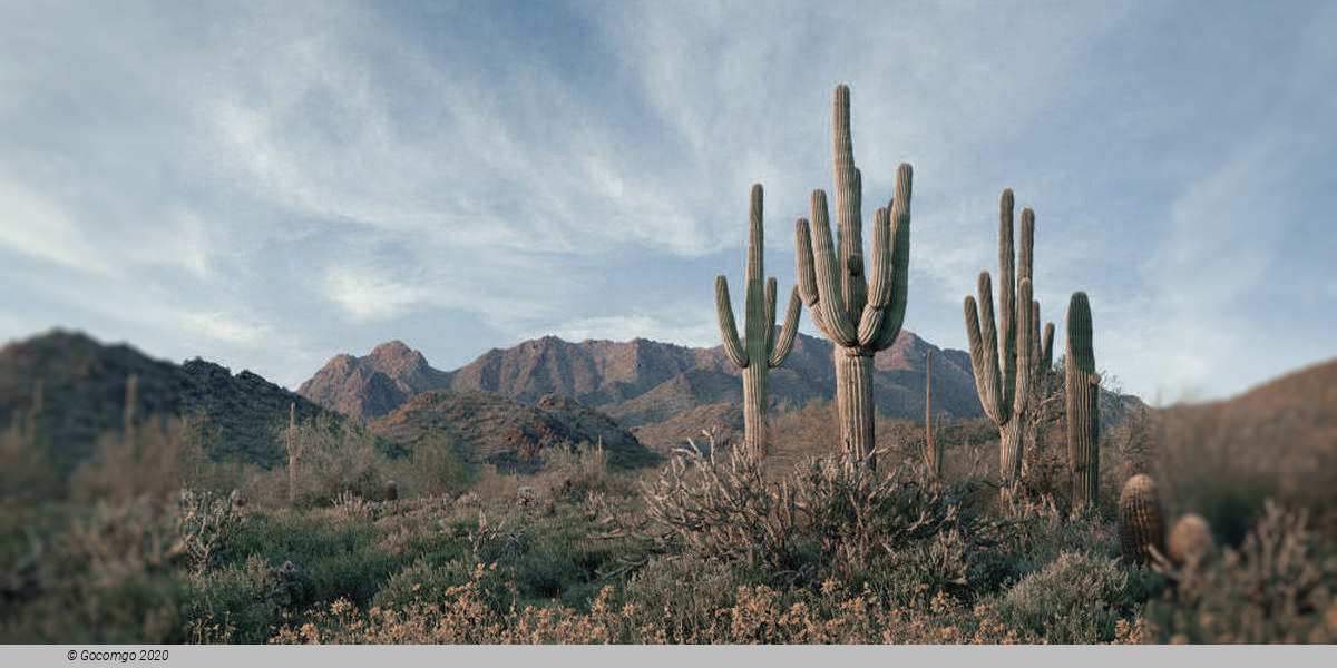 Scottsdale