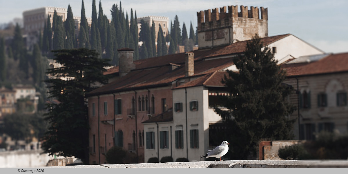Verona