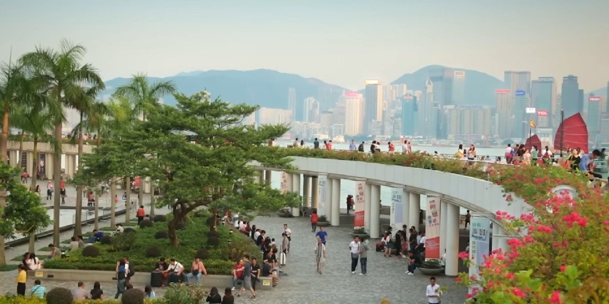 TOP Hong Kong Highlights Guided Tour with Star Ferry Ride and Dim Sum Lunch TOP Hong Kong Highlights Guided Tour with Star Ferry Ride and Dim Sum Lunch