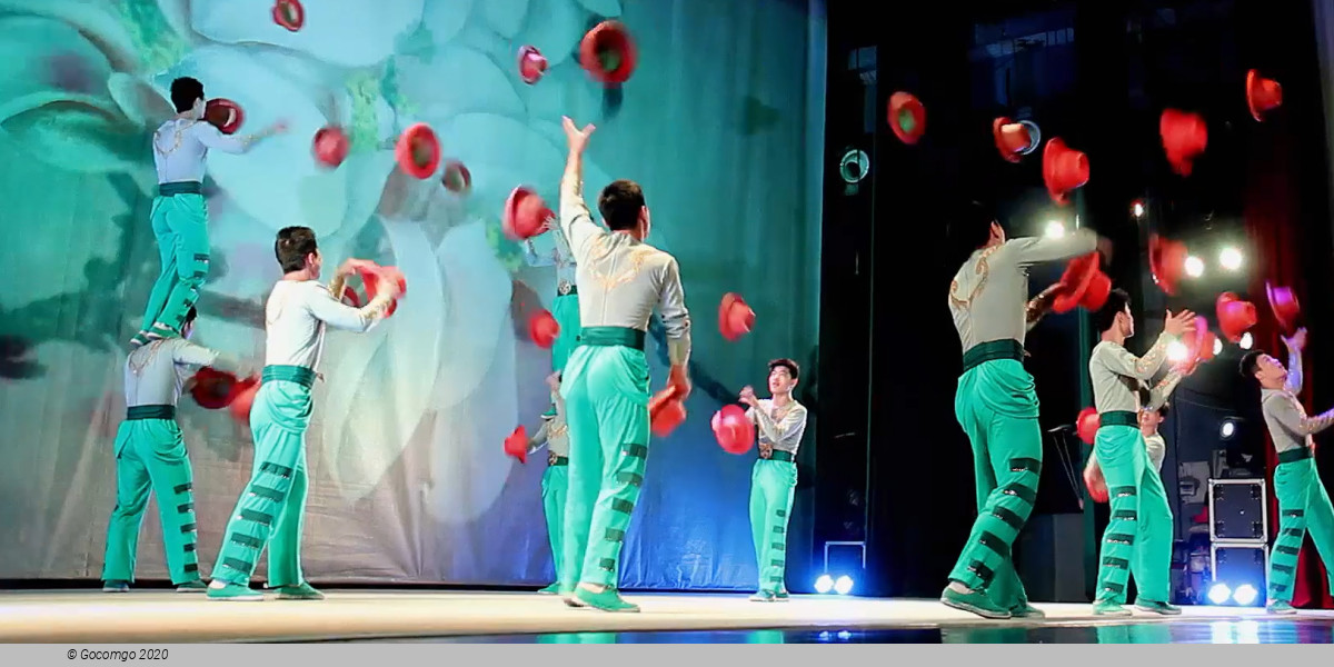 Beijing Acrobatic Show and Peking Duck Dinner Beijing Acrobatic Show and Peking Duck Dinner