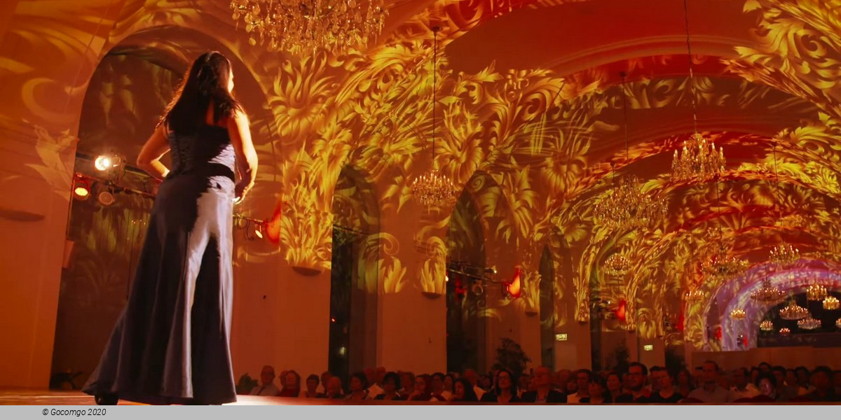 Evening at the Schönbrunn Palace Vienna: Classical Concert and Dinner Evening at the Schönbrunn Palace Vienna: Classical Concert and Dinner