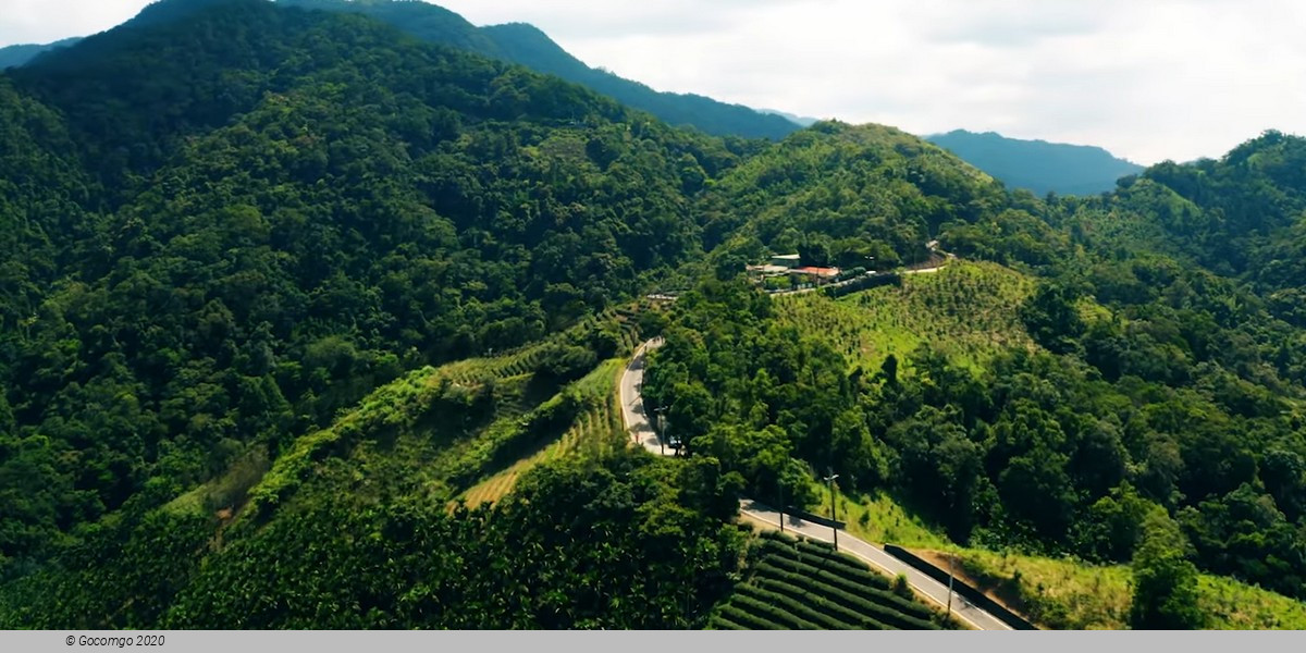 Thousand Island Lake and Pinglin Tea Plantation Tour from Taipei Thousand Island Lake and Pinglin Tea Plantation Tour from Taipei