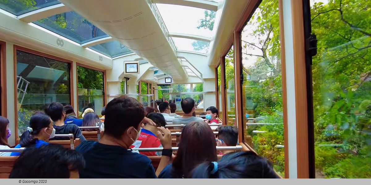 Hong Kong City Guided Tour with Lunch and Optional Peak Tram and Star Ferry Ride