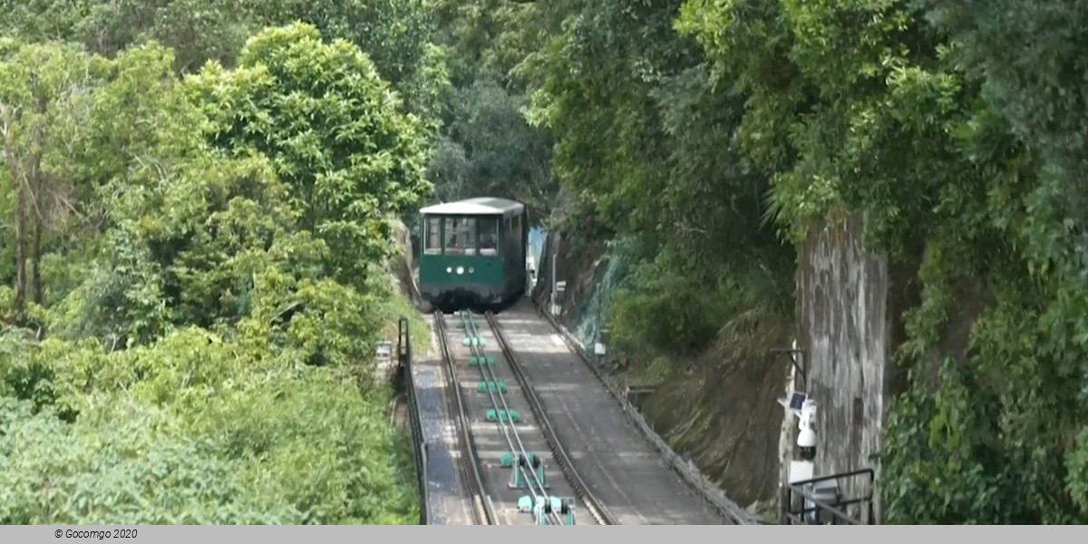 Hong Kong City Guided Tour with Lunch and Optional Peak Tram and Star Ferry Ride