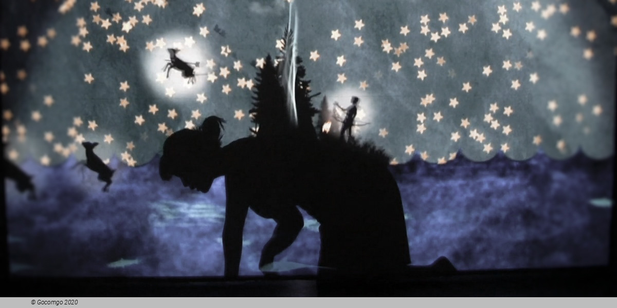 Miwa Matreyek's World of Animation - This World Made Itself & Infinitely Yours, photo 1