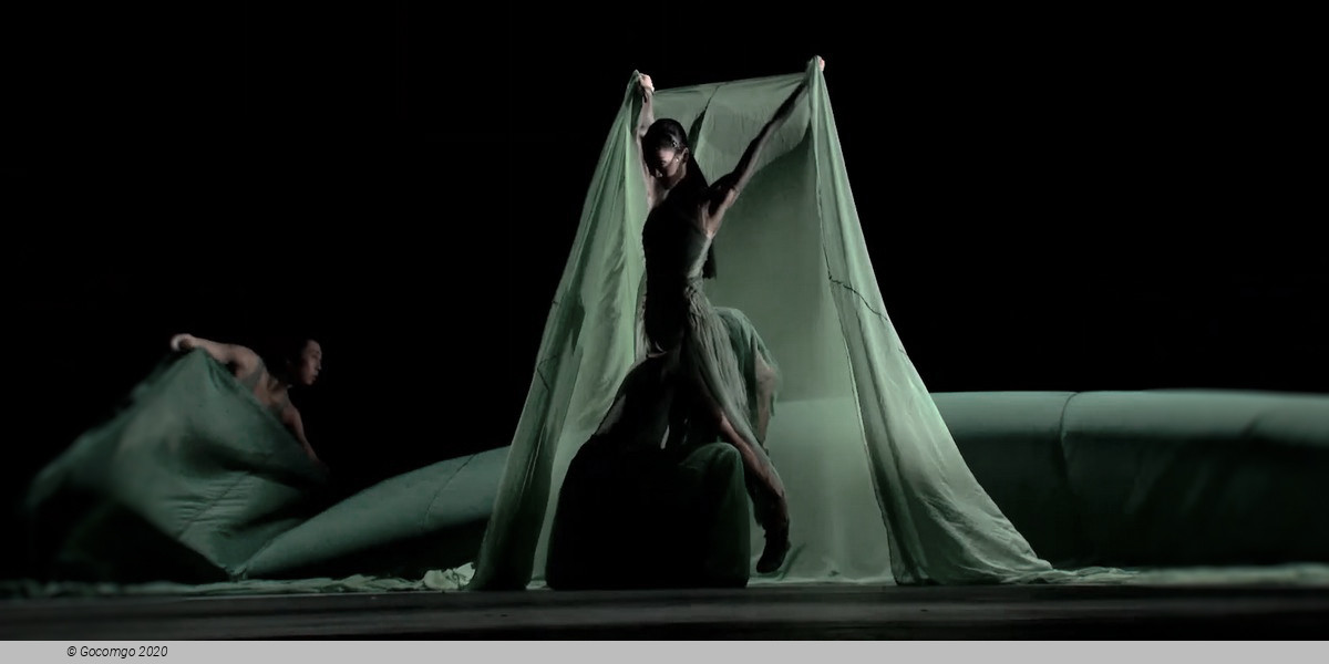 Dynamic Dance Dialogue 2024 "Our Cities - Part One", photo 2