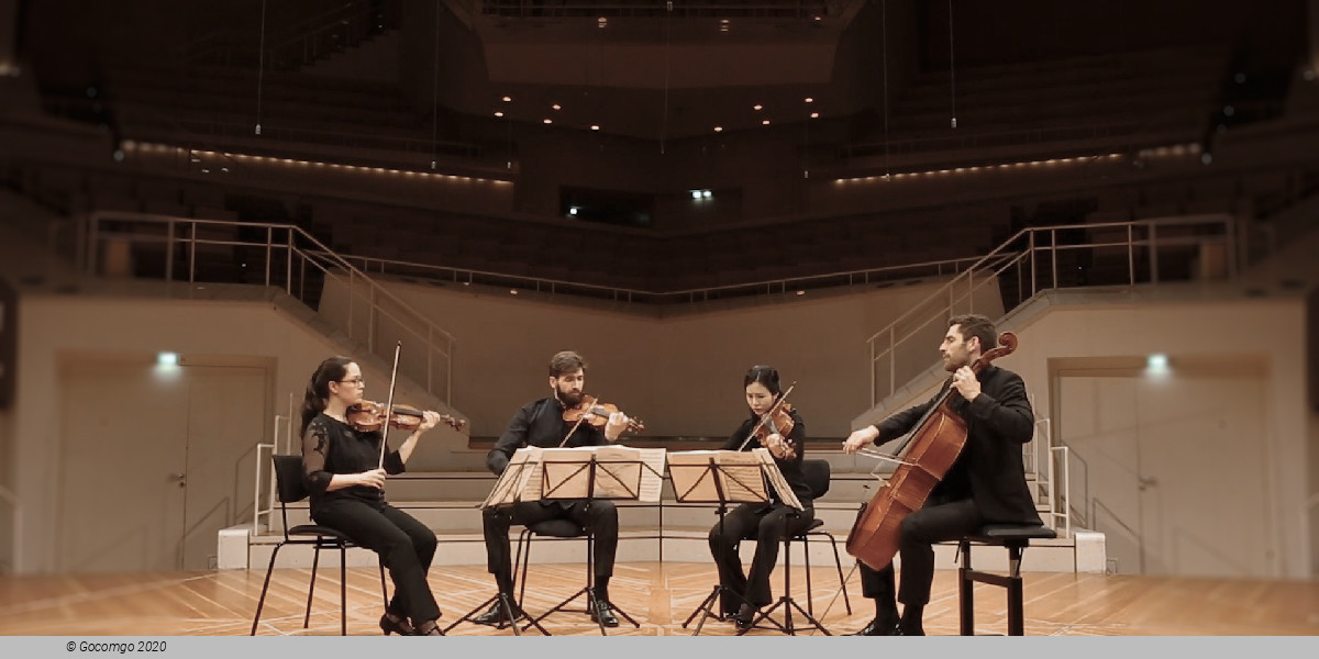 CHAMBER MUSIC I, photo 1