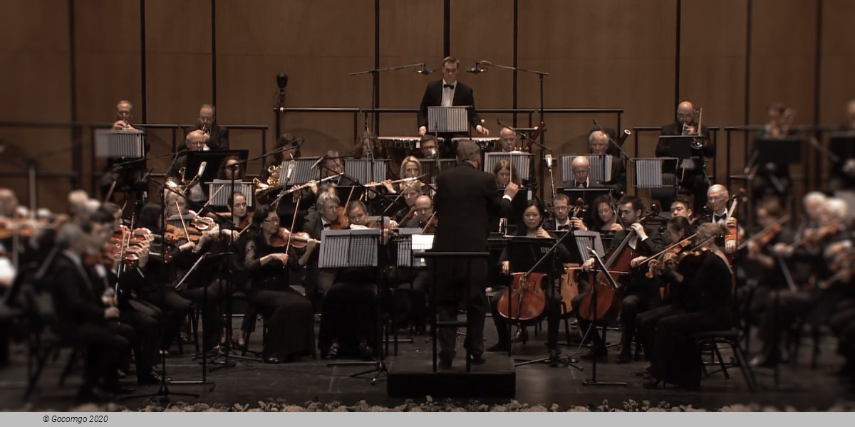 World Doctors Orchestra, photo 1