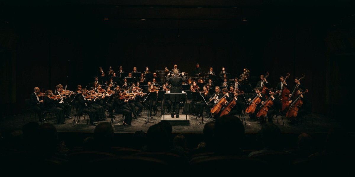 RCM Chamber Orchestra: Eroica, photo 1