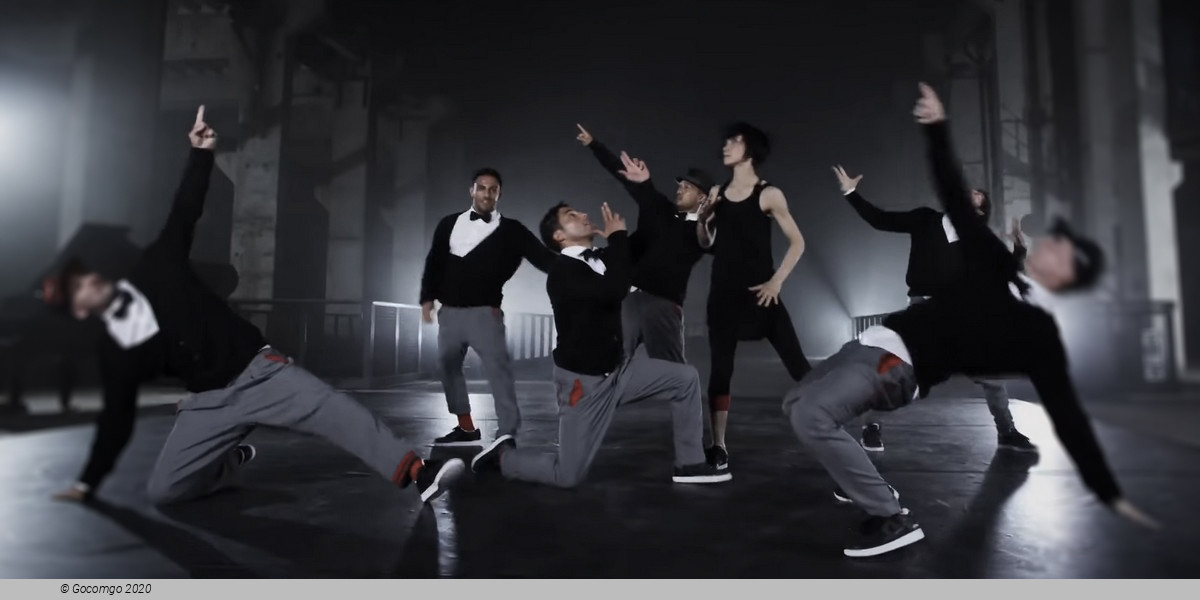 Flying Bach, photo 1