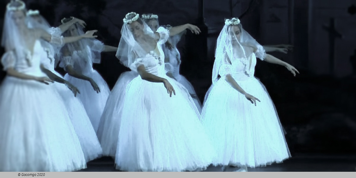 Summer Ballet Seasons, photo 3