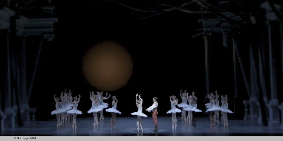 firebird by kent stowell, photo 3