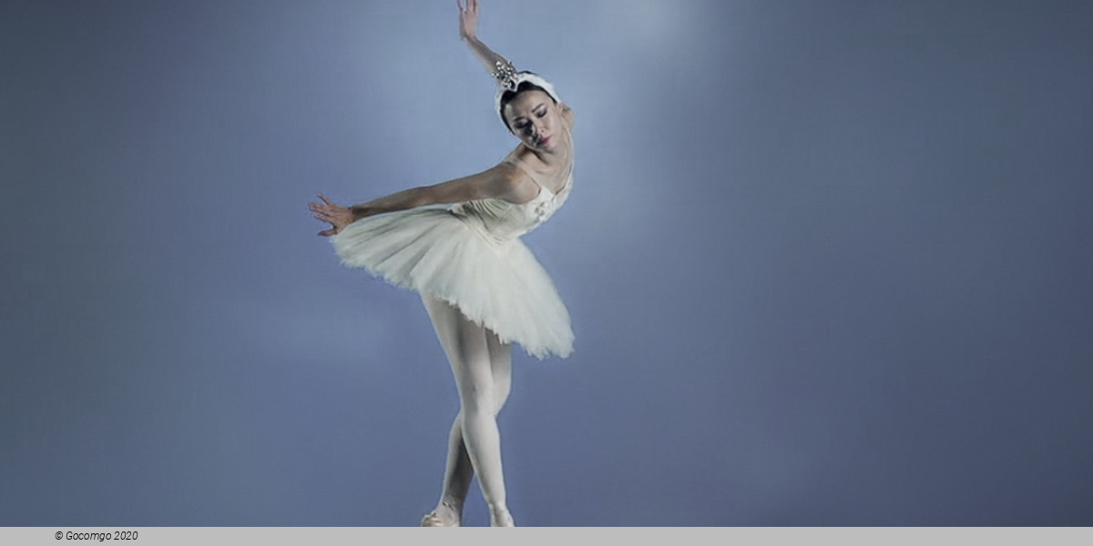 Swan Lake by  Rudi van Dantzigin in collaboration with Toer van Schayk, photo 2
