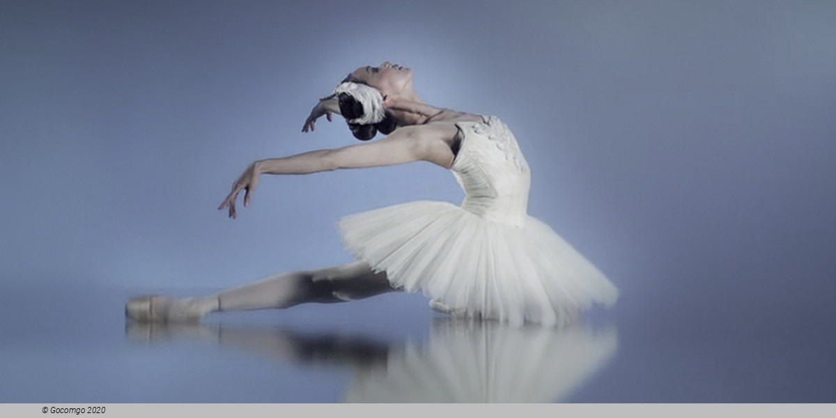 Swan Lake by  Rudi van Dantzigin in collaboration with Toer van Schayk, photo 1