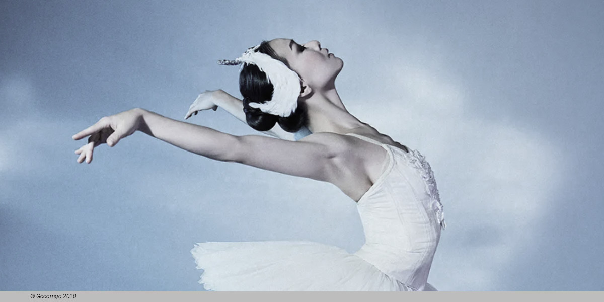 Swan Lake by  Rudi van Dantzigin in collaboration with Toer van Schayk, photo 4