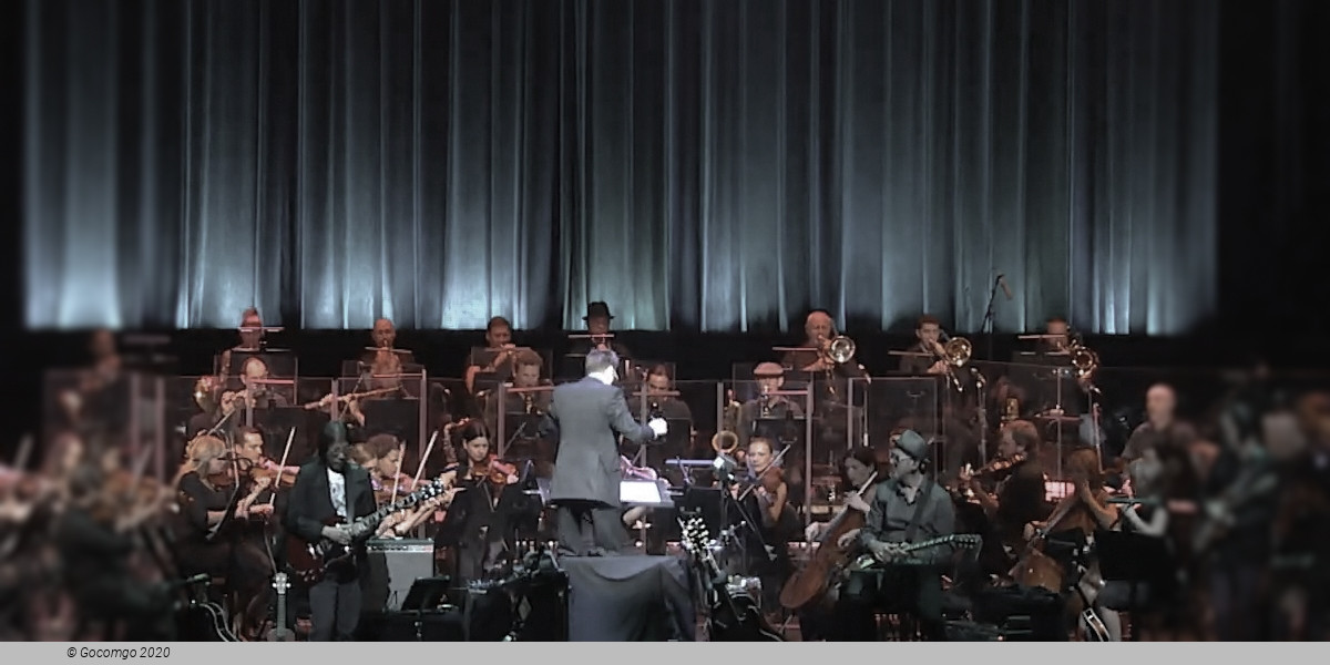 All You Need Is Love