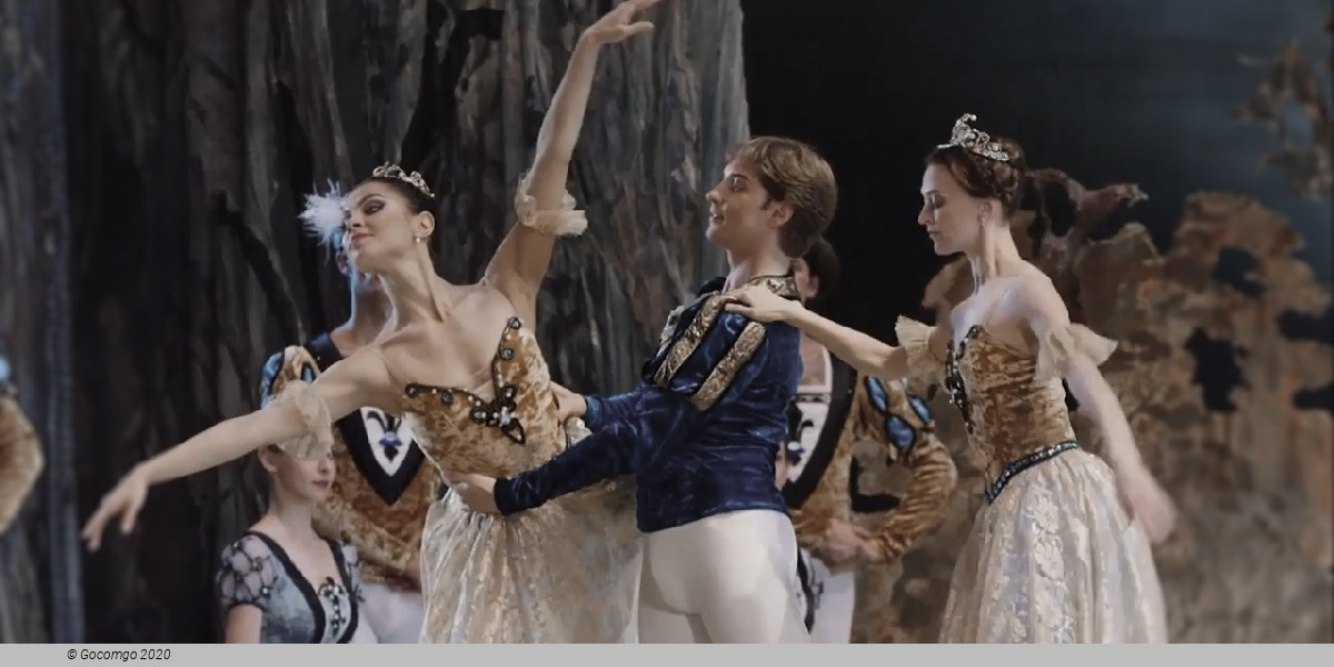 Swan Lake, photo 5