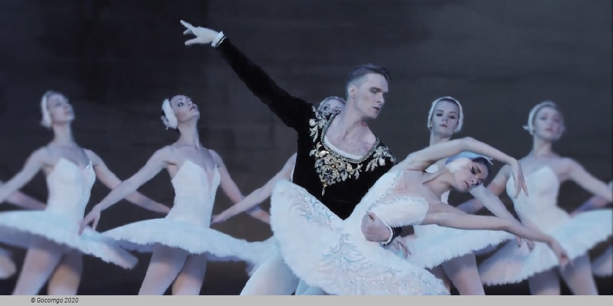 Swan Lake, photo 8