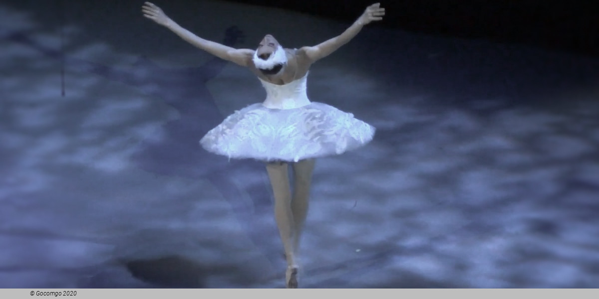 The Swan, photo 9
