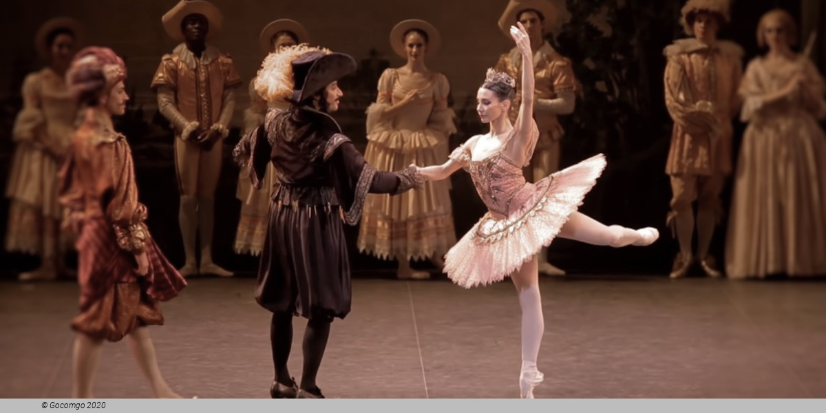 The Sleeping Beauty, photo 3