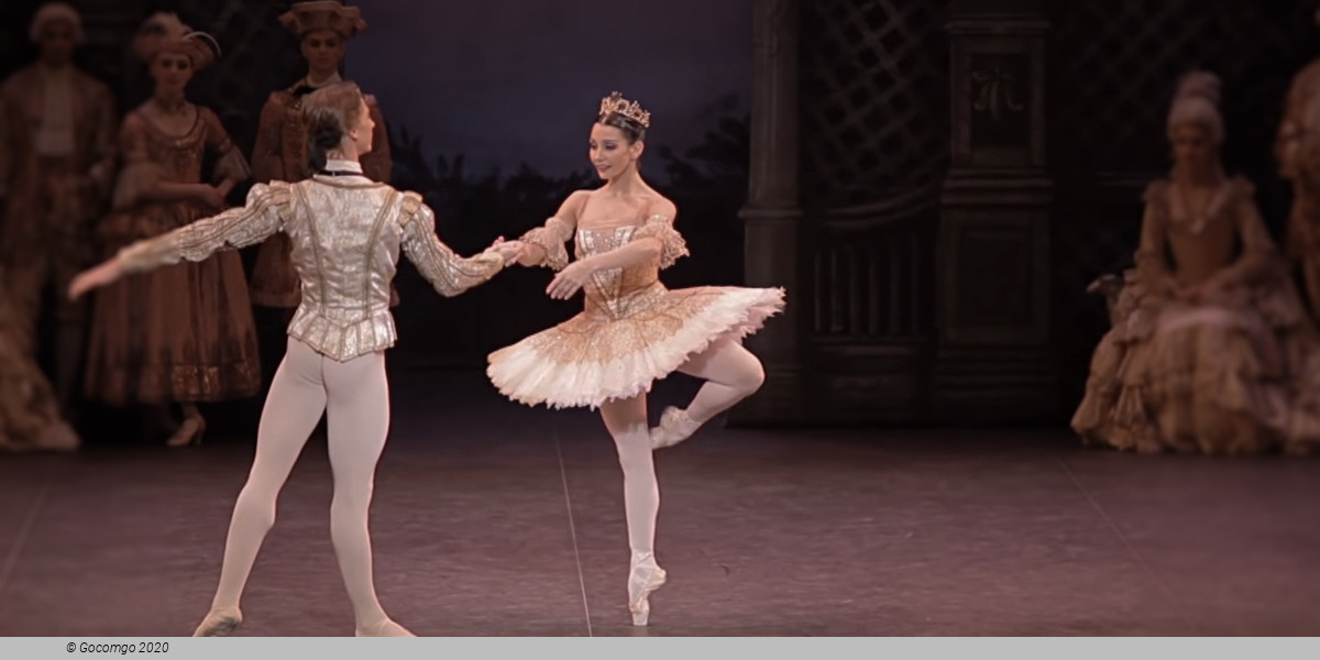 The Sleeping Beauty, photo 5