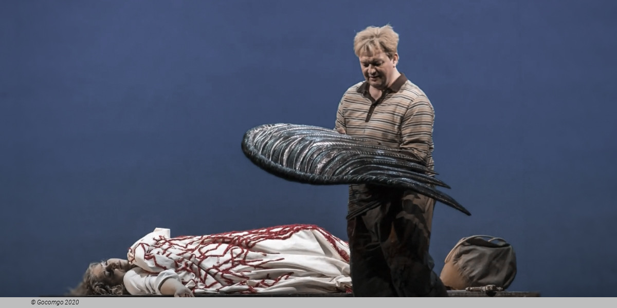 Siegfried, photo 6