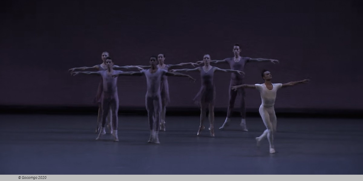 Opus 19 / The Dreamer, photo 3