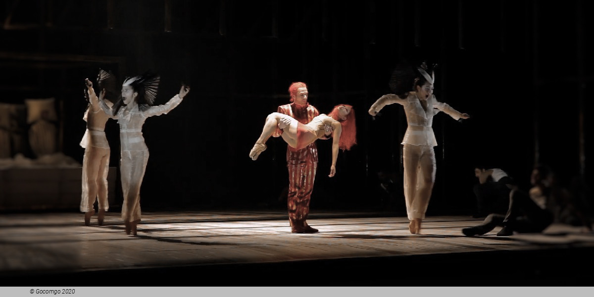 Sleeping Beauty, photo 5