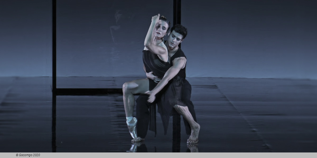 Scene 5 from the modern ballet "Ein Deutsches Requiem", photo 5