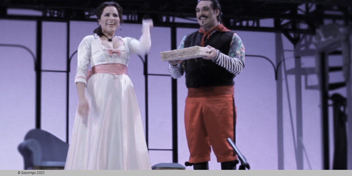 The Barber of Seville, photo 5