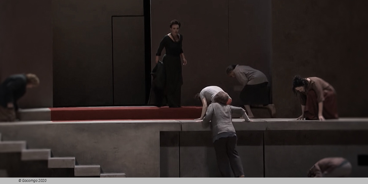 Elektra, photo 5