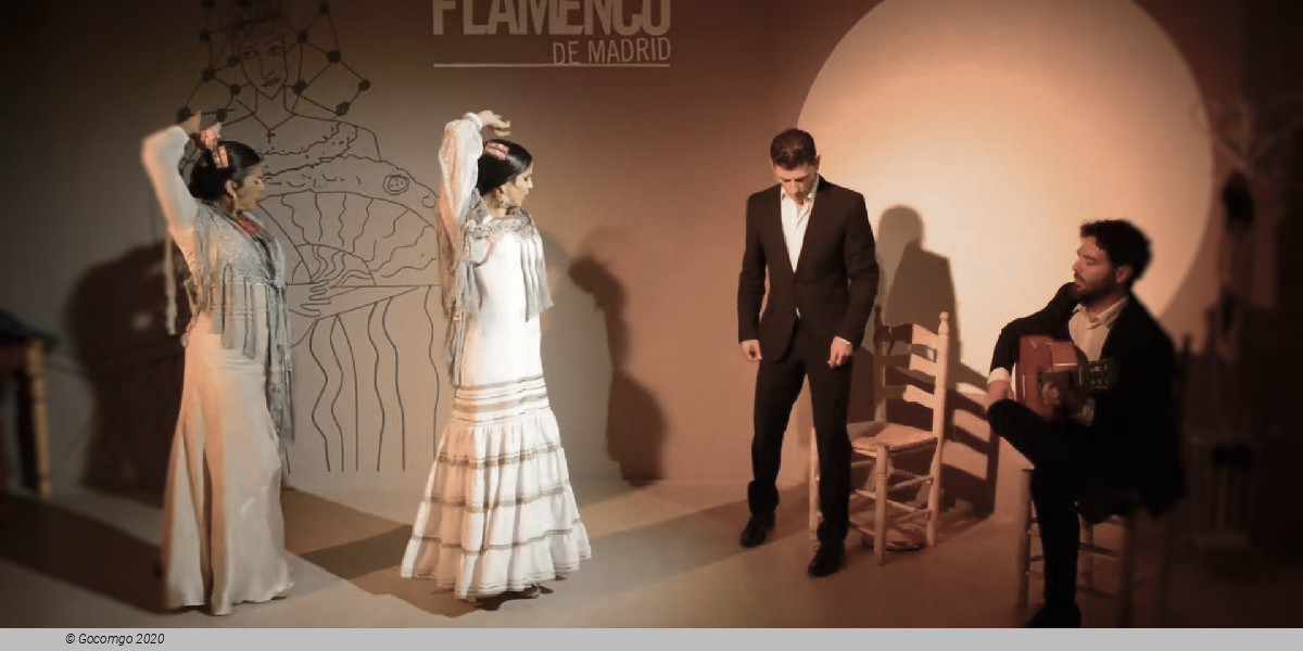 Scene 3 from the Traditional flamenco show "Viva Madrid Vivo"