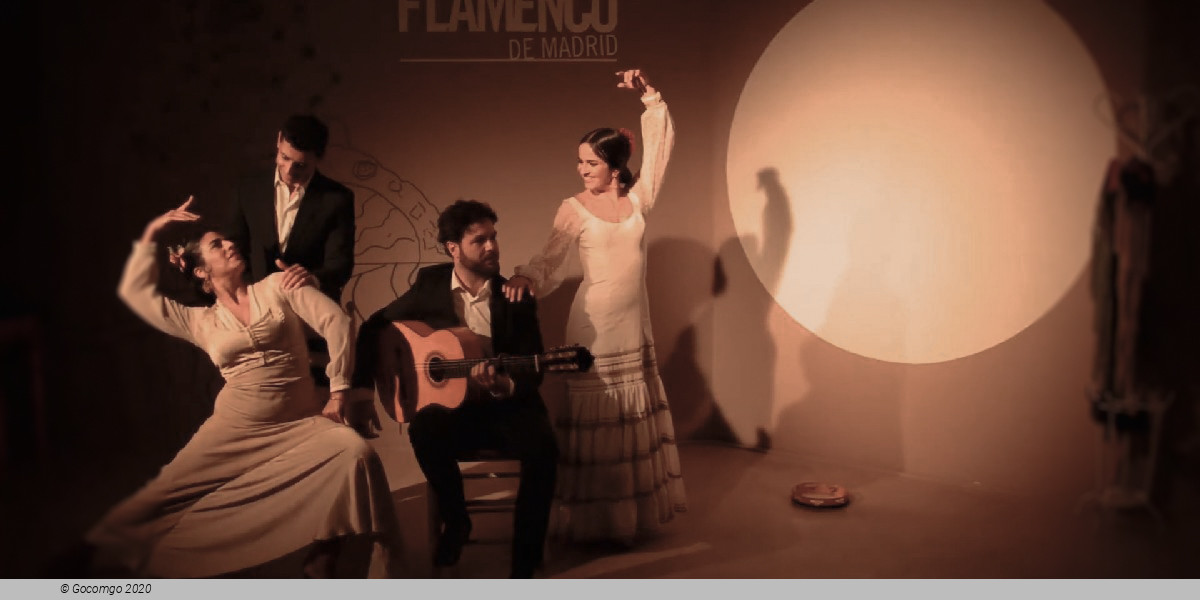 Scene 7 from the Traditional flamenco show "Viva Madrid Vivo"
