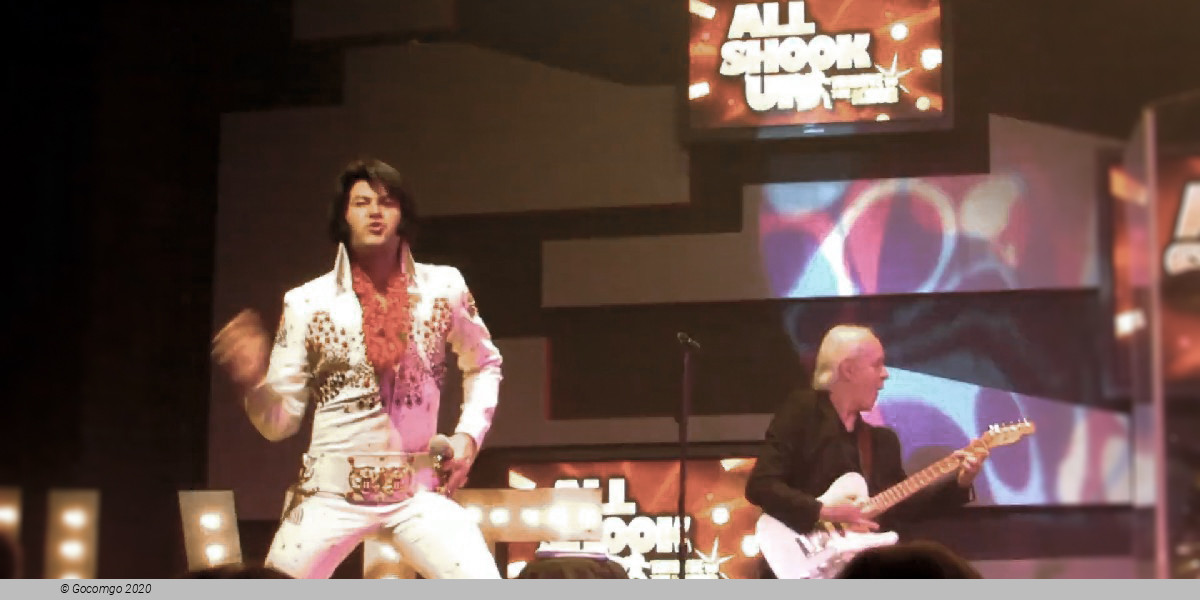 Scene 4 from the show "All Shook Up Tribute to the King", photo 4