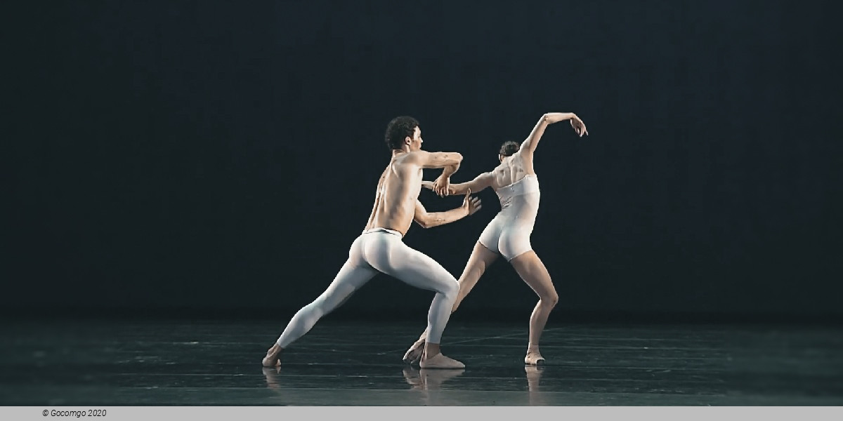 Scene 1 from the modern ballet "With a Chance of Rain", photo 12