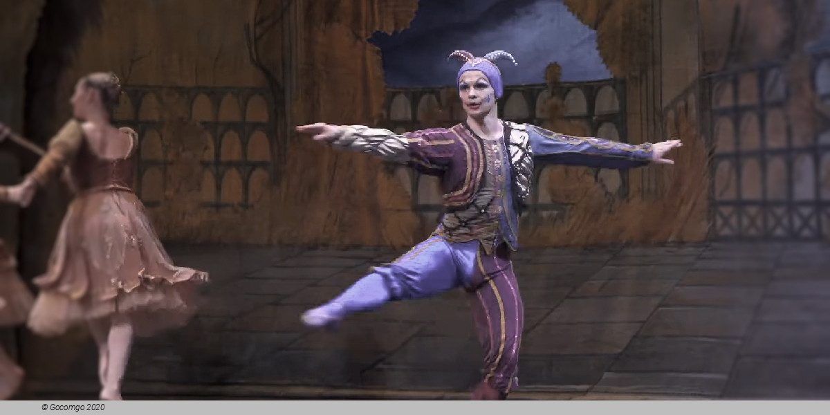 Ballet Icons Gala, photo 2, photo 3